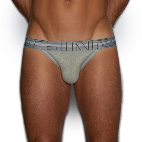 C-IN2 Zen Dash Brief
