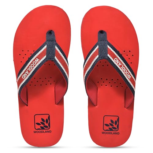 Image of Woodland Men's Slipper