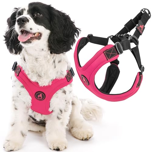 Gooby Sport Escape Prevention Harness