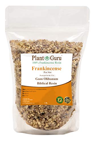 Frankincense Resin Pea Size 1lb Boswellia Papyrifera 100% Pure Natural Gum Aromatic Rock Incense