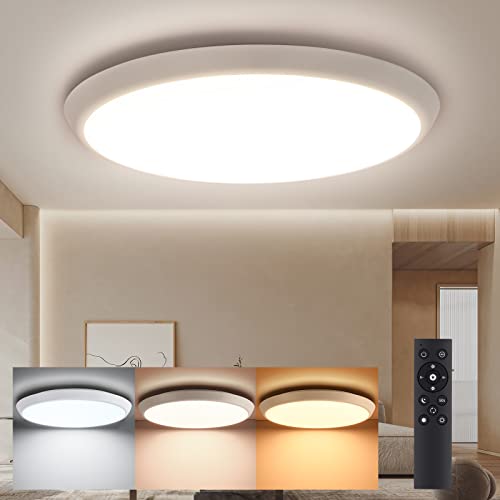 Oeegoo LED Deckenleuchte Dimmbar mit Fernbedienung, 24W 2700LM LED Deckenlampe Dimmbar, IP54 Feuchtraumleuchte für Wohnzimmer Badezimmer Schlafzimmer Küche Flur Balkon Keller Diele Shop Lager φ30cm Cover