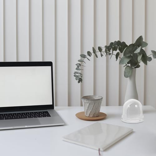 Ciieeo Globos De Neve Para Fotos Artesanato Diy Plástico Transparente Mini Globo Para Fotos De Neve