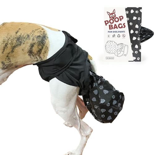 ėp\Ȍp񂿃pc 50̂񂿃obOtA߉\ȌpTj^[pcA&AEghAEH[LOpA֗Ȍ̂񂿃RNVpc VjAяQ̂錢p L