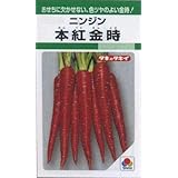 ニンジン 種子 本紅金時 7ｍｌ 人参