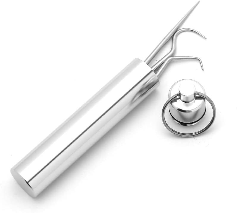 1 Set Metal Toothpick Stainless Steel Metal toothpicks Reusable Floss