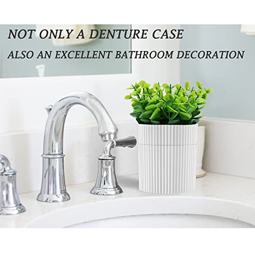 Denture Bath, Invisible Denture Case Designed As Artificial Eucalyptus Potted Plants, Denture Cup With Strainer For Retainer, Mouth Guard & Dentures, Perfect For Home Decoration #TOP3
