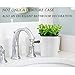 Denture Bath, Invisible Denture Case Designed As Artificial Eucalyptus Potted Plants, Denture Cup With Strainer For Retainer, Mouth Guard & Dentures, Perfect For Home Decoration…