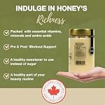 ONEROOT Raw Honey Unpasteurized | Boreal Forest Raw Wildflower Honey | Creamed, 100% Farmed & Packed in Canada | Single Source Pure, Unpasteurized & Unfiltered (500g)