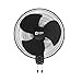 Orient Electric Wall 97 | High Speed Wall Fan for Home | 100% Copper Motor | 90 Degree Oscillation with Tilt Mechanism | 3 Speed Pull Cord | Thermal Overload Protection | Military Grade Guard | Black