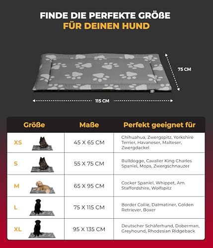 HS-Hundebett® Sommerdecke Baumwolle mit Füllung und Antirutsch L (75x115 cm) – Gepolsterte Hundedecke für den Sommer – Waschbar & Langlebig – Leichte Hunde Sommerdecke – Pfote Anthrazit, Made in DE