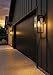 Globe Electric 44176 1-Light Outdoor/Indoor Wall Sconce, Matte Black Finish, Clear Glass Shade, Weather-Resistant Modern Exterior Light