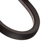 C81 Hi-Power II Belt