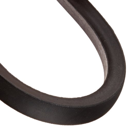 C81 Hi-Power II Belt