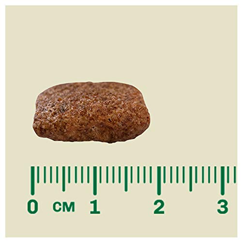 Ração para Cães Sênior Raças Médias e Grandes Sabor Frango e Arroz 15Kg