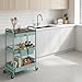 danpinera 3 Tier Rolling Cart, All-in-One Art Cart Organizer on Wheels for Kitchen, Bathroom, Office, Laundry