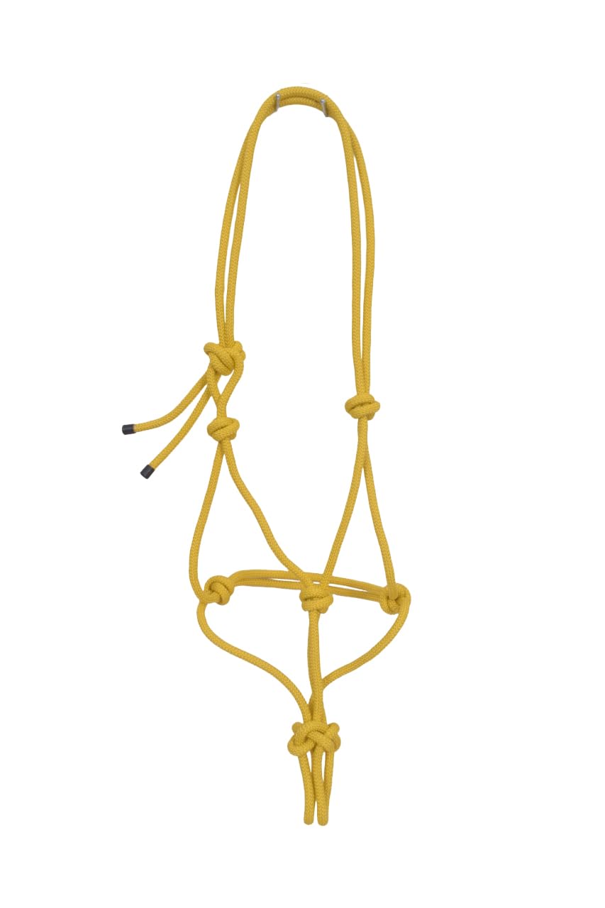 ALTABISH Export PP Horse Rope Halter Cow Halter, Cattle Halter Mohra Mohri Yellow Color (B08LDN1PFC) Amazon Price History, Amazon Price Tracker