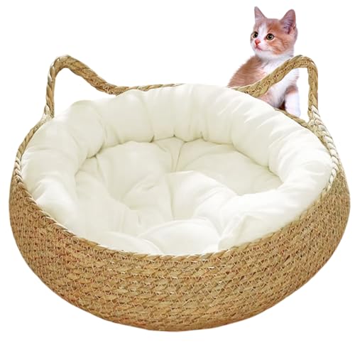 SMELEYOU Lits de Chat pour Chats intérieurs 2 en 1 peluche avec coussin doux
