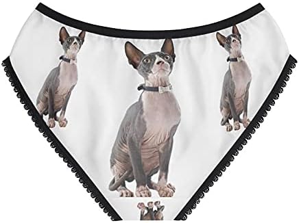 Sphynx Cat Panties, Sphynx Cat Underwear, Briefs, Cotton Briefs, Funny Underwear, Panties For Women