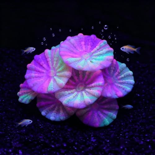 Image of ZtohPyo Aquarium Glowing Silicone Musfroom Coral Ornament for Fish Tank Landscape Decoration, Artificial Glow in The Dark Soft Aquarium Plant for Aquarium Decor Accessories