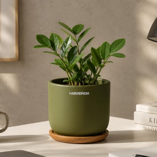 Image of Habere India-All the Cultures Fabricating India Plant Pot with Wooden Plate | Flower Pots for Dining Table & Home Decor | Terracotta Pot for Living Room Decoration (Olive, Dia11 x H10 cm)
