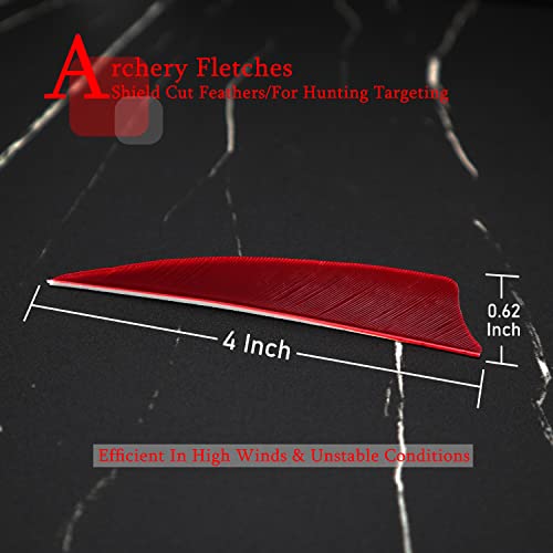 Hosolee 4 Inch Right Wing Real Feathers Archery Fletches For Diy Arrows Hunting Targeting (25 Pack) #TOP1