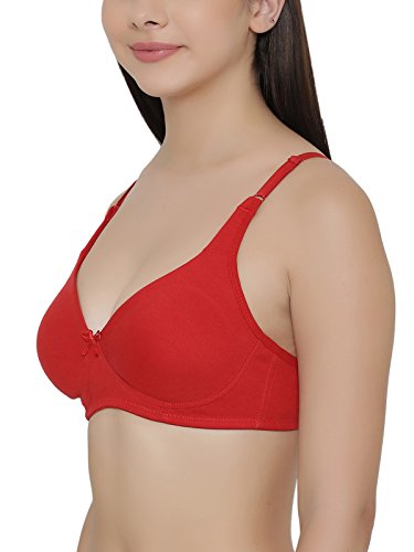 Image of Clovia Women Bra