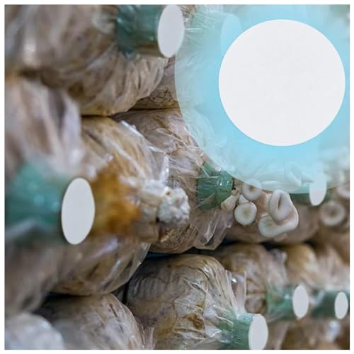 Gorgecraft AJEW-GF0007-71-US16 100Pcs 2 Speeds Synthetic Filter Discs 90Mm Diameter Quantitative Filter Paper Circles Slow Flow/Fast Speed Wide Mouth Size Funnel Filter Paper thumb #5