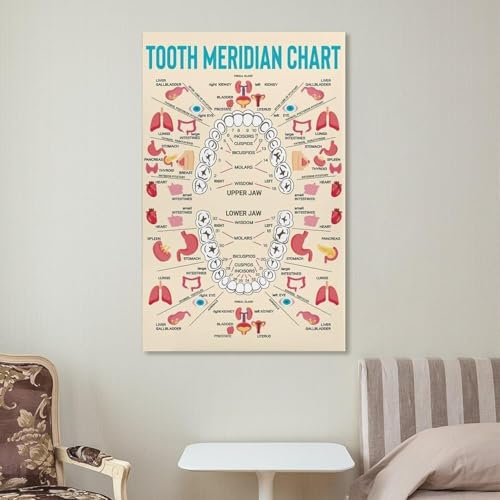 Poster méridiens MTC dents organe solution visuelle cabinet