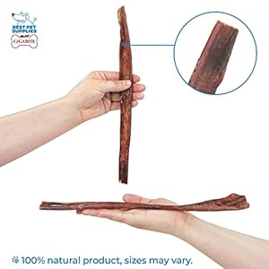 GigaBite-12-Inch-Half-cut-All-Natural-Free-Range-Bully-Sticks-Dog-Treat-by-Best-Pet-Supplies-Pack-of-10 - Cucciolini Doodles   GigaBite-12-Inch-Half-cut-All-Natural-Free-Range-Bully-Sticks-Dog-Treat-by-Best-Pet-Supplies-Pack-of-10