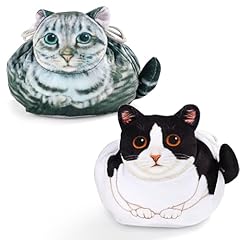 Black white and old grey cat