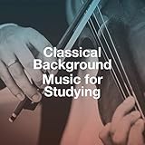  Konzert Für Violine in G Minor, Op. 12 Nr. 1, Rv 317: II. Largo - Adagio