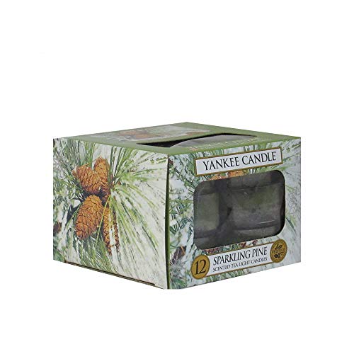 Yankee Candle Sparkling Pine 12 Tea Lights