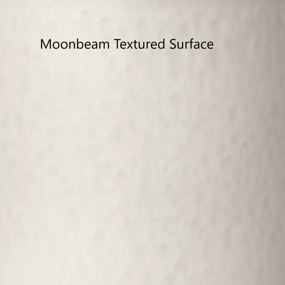 blomus Servierschale -MAKOTO- | Schale aus Keramik | 9,5 x 20 x 20 cm | Farbe Moonbeam | Geschirr & Tafelservice