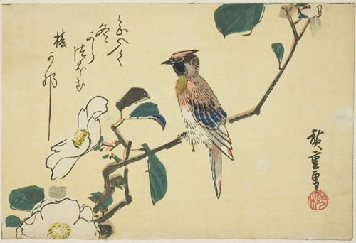 Oriole à nuque noire de Hiroshige, affiche d'art japonais 60x90cm