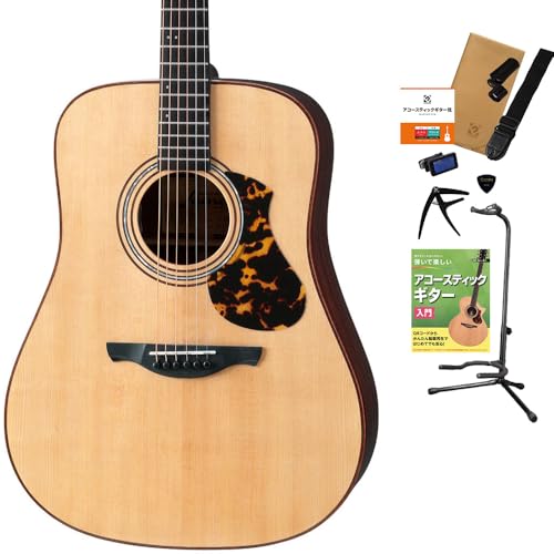 Amazon | James J-900/L NAT アコースティックギター 教本付きセレクト