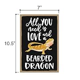 Honey Dew Gifts All You Need is Love and a Bearded Dragon Funny Wooden Home Decor for Pet Reptiles Lovers, Hanging Decorative Wall Sign, 7 Inch by 10.5 Inch, 76202