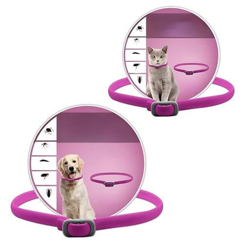 m~ 悯   ւɂ L  ybgp 2 Lp p ybg m~E_j΍pi ̂ݎ 悯 Ꮬ t  ^ɓKp  Ꮬ΍ VRn[u 8 ߉\ Lpi ([Y,65E)