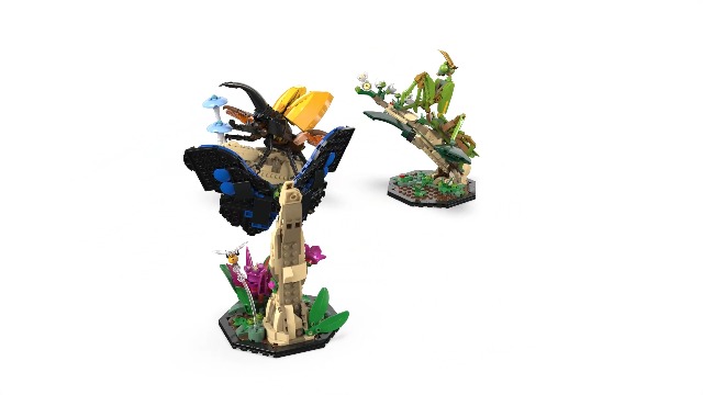 Amazon.com: LEGO Ideas The Insect Collection, Fun Gift for