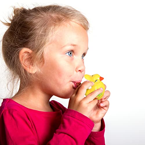 Toyvian 6 Pezzi Fischietti di Uccello in Ceramica