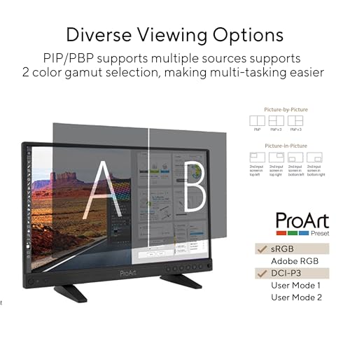 Image of ASUS ProArt Display 15.6 inch 4K HDR SDI Professional Monitor (PA16USV) - UHD (3840 x 2160), IPS, HDR-10, 100% sRGB /Rec.709, ΔE<2, Calman Verified, 12G-SDI, HDMI, USB-C, 3 yr Warranty