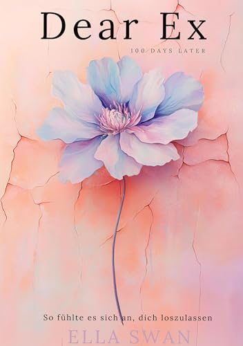 Dear Ex - 100 Days later: So fühlte es sich an dich loszulassen