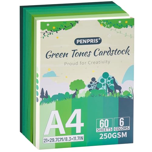 Grüne Töne Kartonpapiere - 60 Blatt, 6 Farben, Grün Kartonpapiere, A4 Größe, Kartonpapier 250gsm/92lb,Schwergewicht Kartonpapiere für Drucker,Kartenherstellung, DIY-Handarbeiten,Scrapbooking PAC06MX3