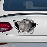 rat dumbo a vendre Design vibrant et accrocheur : avec un design audacieux, cet autocollant pour pare-chocs améliore l'apparence de votre voiture, ce qui la rend unique. Les couleurs vives et les détails nets en font un moyen idéal de personnaliser votre véhicule.