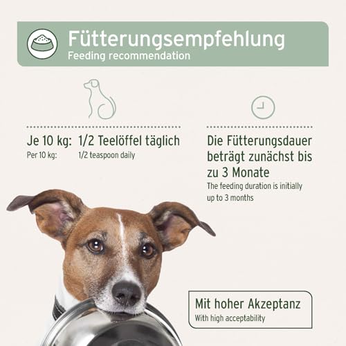 AniForte Arthro Omega Öl für Hunde 250ml - bei Osteoarthritis, Hund Arthrose & Gelenkentzündung, Hund Gelenkschmerzen, 100% Naturöl für Hundegelenke statt Gelenktabletten