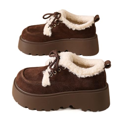 [YFHBSKS] [gu[c fB[X  Xm[u[c tt C {A   ~ r  K h ۉ  ʊw ʋ JWA AEghA t@bV wlC l H~ 23.5 cm