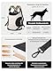 Hundetragerucksack，Hund Tragetasche für Kleine Mittelgroße Hunde und Katzen，Hunderucksack bis 8.5kg，Atmungsaktiv und Bequem Haustier ，Tragbar Reisetasche mit Hiking Travel Outdoors，Beige