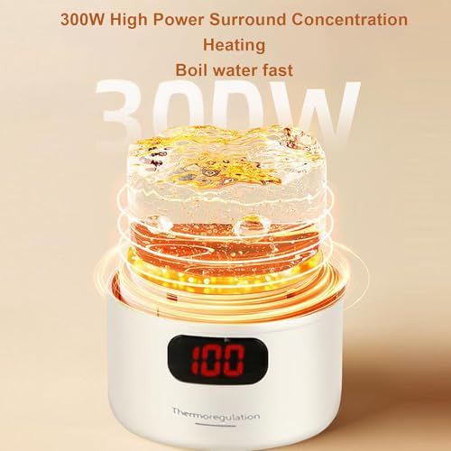 Pava Eléctrica Portátil 400ml Haofy 110V con Control Digital miniatura 5