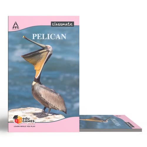 Image of Classmate Octane Neon Gel 25s Jar- 25 Blue Gel Pens Long Book - Single Line, 160 Pages, 314 mm x 194 mm - Pack Of 3