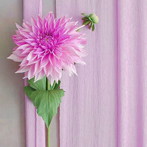 Cieovo Crepe Paper Flower Diy Kits, 7 Rolls Rainbow Bright Colors Crepe Paper Rolls Green Floral Tape And 50 Green Floral Iron Wire For Wedding Festival Party Wreath Making Supplies Diy Flower Crafts #TOP4