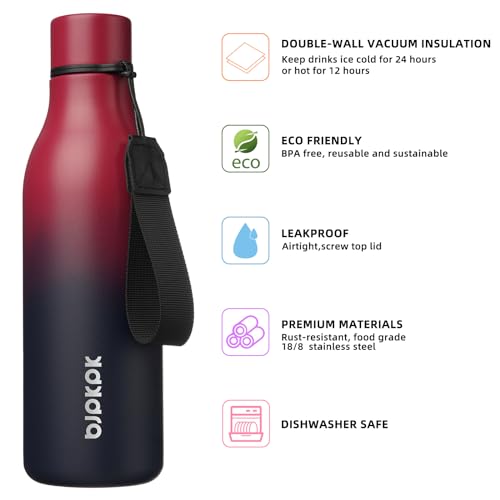 Image of BJPKPK Insulated Water Bottles, 18 oz Stainless Steel Metal Water Bottle with Strap, BPA Free Leak Proof Jugs, Mugs, Flasks, Reusable Thermal Flasks for Sports & Travel,Charming Red